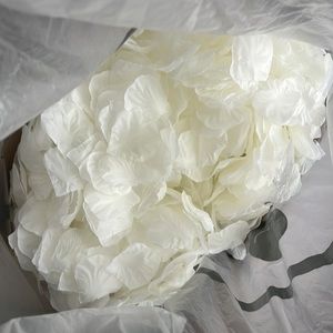 X1 Bag of White Faux Flower Petals